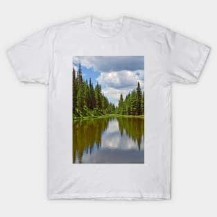 Lake Irene 2018 Study 1 T-Shirt